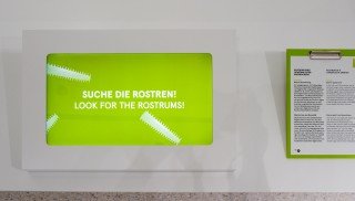 Versammelt – SMNK